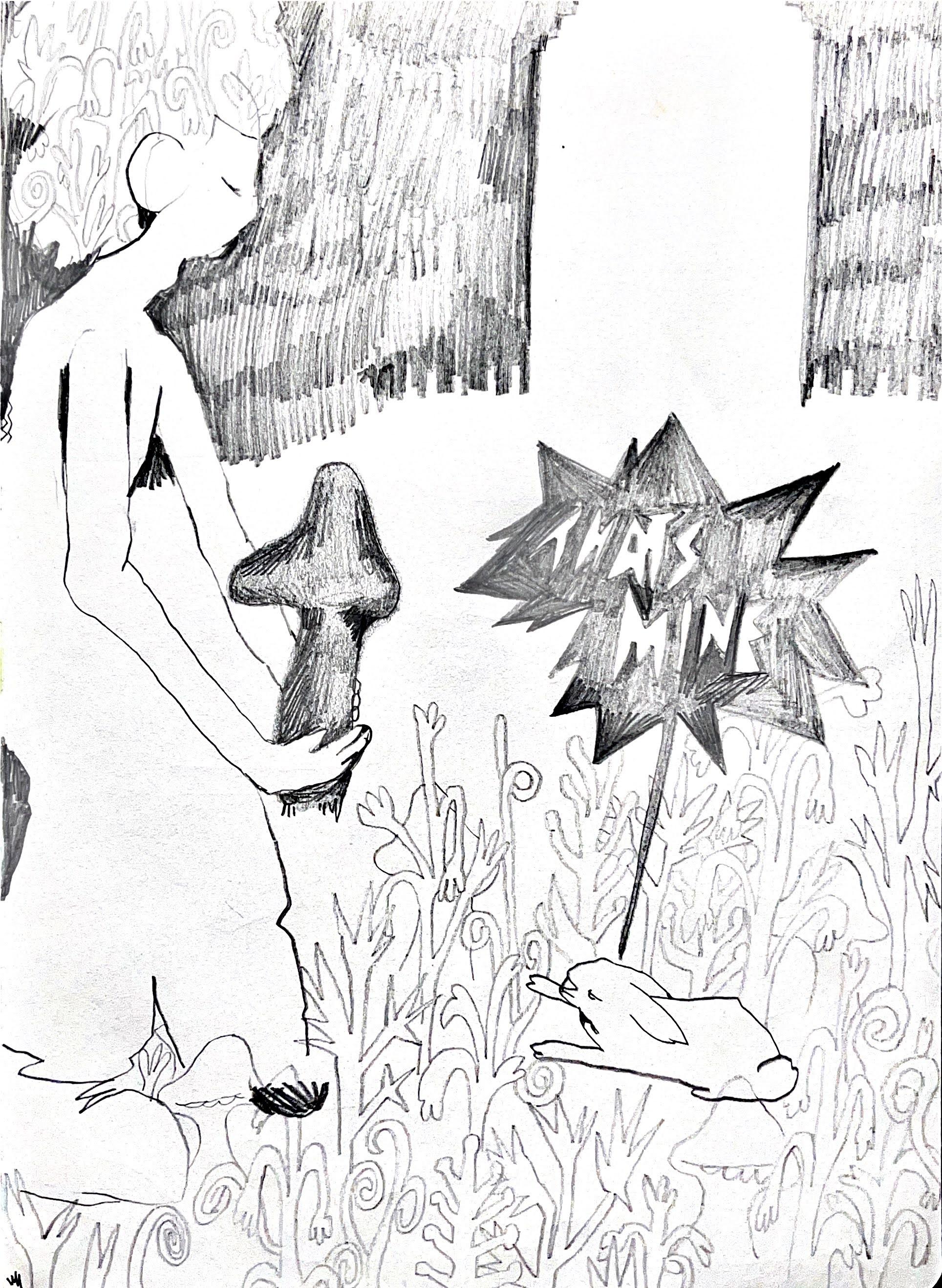 Sketch 5